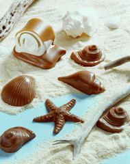  Chocolate sea shells