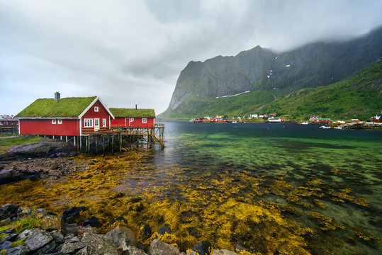 Amazing view of Reine - fishing village with red houses near fjord and green mountains. Beauty of Hamnoya, Lofoten islands, Norway