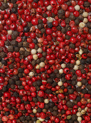 Pepper background