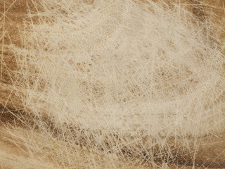 Scratched wood texture