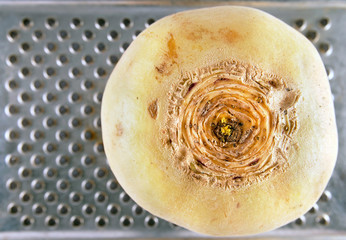 Turnip on the grater