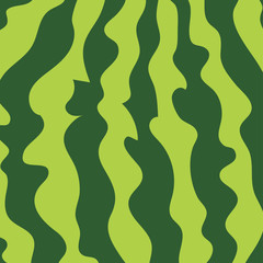 Fresh ripe watermelon