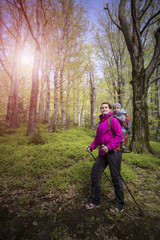 Fototapeta premium Mom walks in the forest with a child, a child in the children carry.