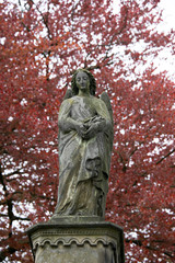 Engel unter der Rotbuche