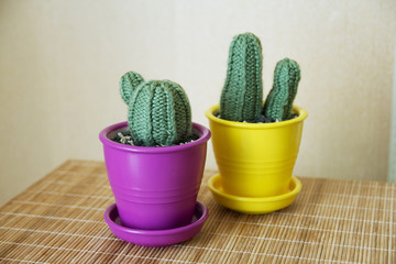 knitted cactus handmade