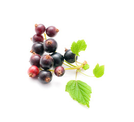 Currants with green leaves isolated