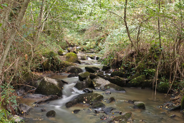 Donzenac (Corrèze)