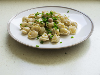 Meat dumpling on a plate.