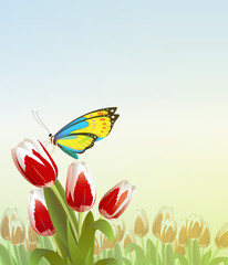 Butterfly on flower. Vector Illustration