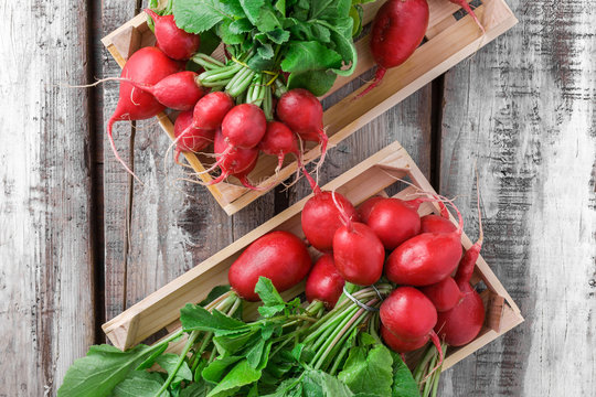 Radish group in two boxes on white old rustic wooden table