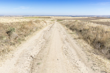 a country road on a summer day and a blue sky