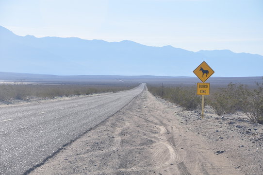 Burro Crossing Sign