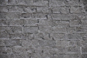 Fototapeta premium Wall