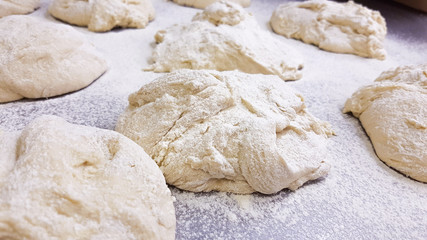 Wheat bread dough