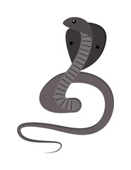 Cobra Snake coiled and ready to strike showing fangs tongue danger reptile animal wildlife cartoon vector.