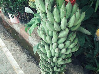 Obraz premium Bunch of bananas