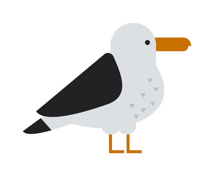 Great black-backed gull larus marinus sea wildlife animal and beautiful bird flat vector.