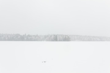 Blizzard winter landscape at frozen lake