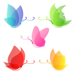 butterflies design