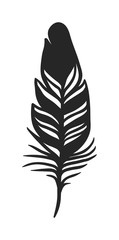 Rustic decorative black feather doodle vintage art graphic vector.