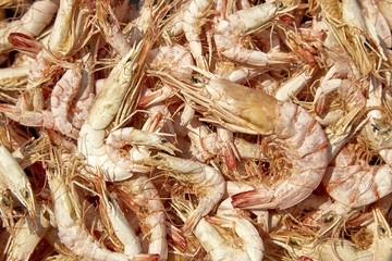 Dried Shrimps