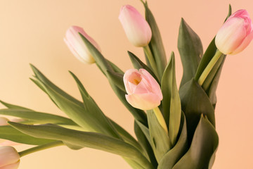 Greetings for Mothers Day with tulips.