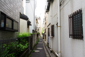 Fototapeta na wymiar Tokyo Nezu of the back alley