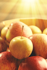 Juicy apples, close-up. Retro style