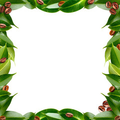 Frame made of coffee beans and green fresh leaves, isolated on white