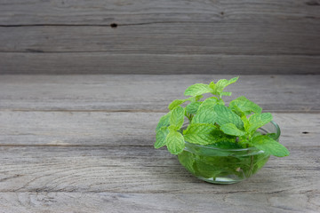 Mint in the transparent glass bowl on wood background