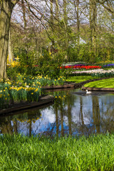 Fototapeta premium beautiful garden. Park
