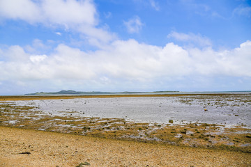 由布島 マンタの浜