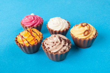 Colorful cupcakes.  Chocolate Cupcake