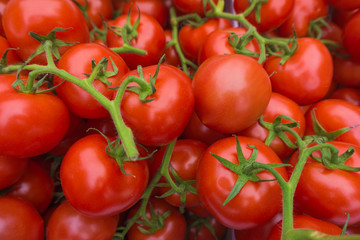 fresh tomatoes. red tomatoes background. Group of tomatoes
