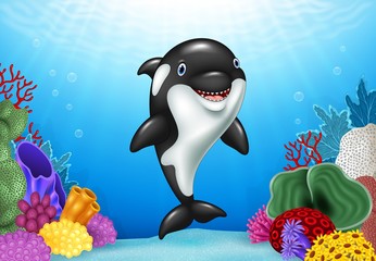 Fototapeta premium Cute orca with beautiful underwater world