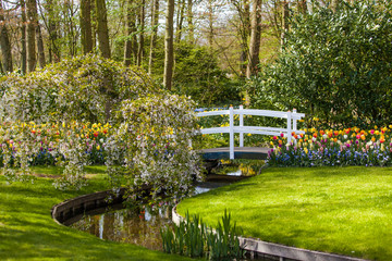 Spring background.  landscaped garden