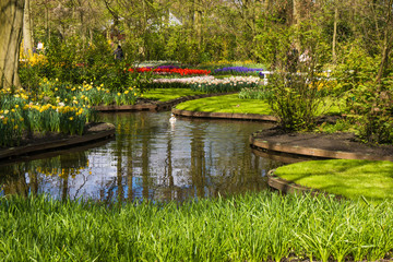 Obraz premium spring garden. Keukenhof garden