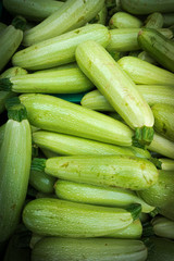 Fresh green zucchini. Zucchini background