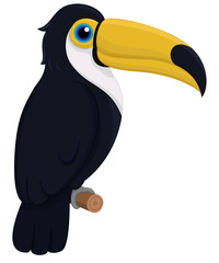 Cute toucan illustration.Bird vector isolated.
