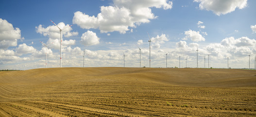 Panorama wiosennego pola
