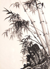 bamboo ink painting hand drawn