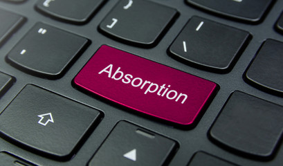 Business Concept: Close-up the Absorption button on the keyboard and have Magenta color button isolate black keyboard