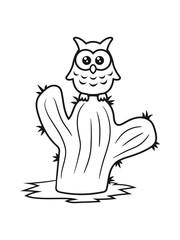 owl bird owl small comic cartoon sweet cute little green desert cactus