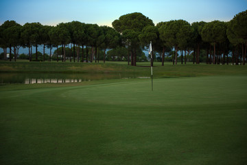 Fototapeta premium golf course