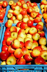 Apfelmeer auf dem Wochenmarkt