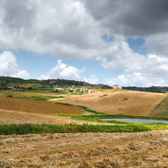 Fototapeta premium Mown Field