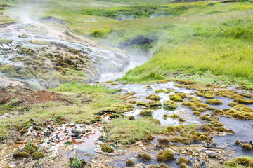 Naklejka na ściany i meble Geothermally active valley of Haukadalur. Thermal springs. Iceland.