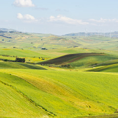 Fields on the Hills