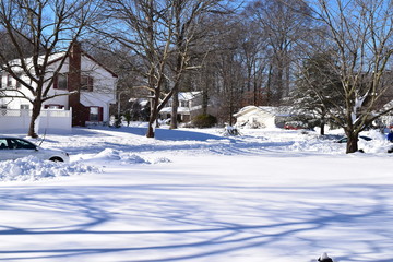 Winter Time Expeditions