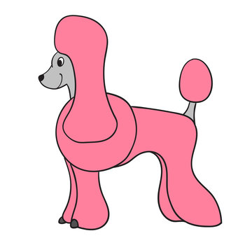 Cute cartoon pink poodle isolated on white background.